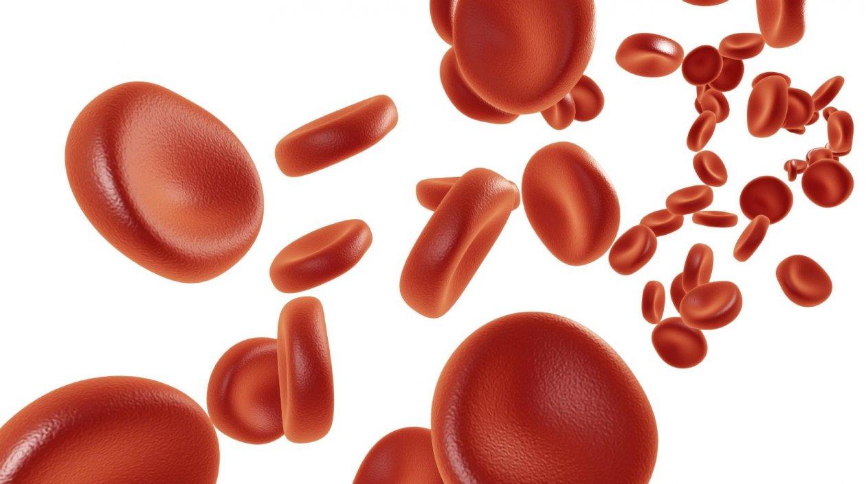 Con la técnica plasma rico en plaquetas se pueden renovar tejidos, articulaciones, y se puede utilizar para tratar problemas de artrosis.