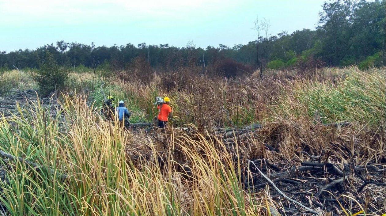 Foto de los organismo de socorro en el parque Isla de Salamanca.
