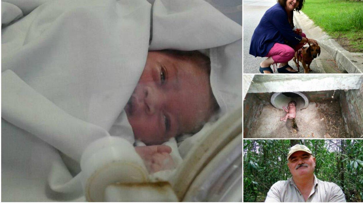 La bebé fue hallada en una alcantarilla en Sudáfrica.