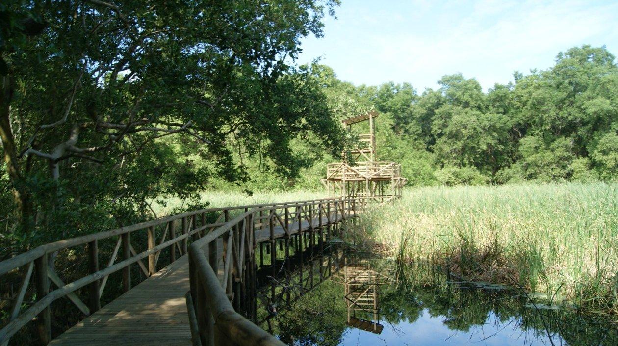 Vía Parque Isla de Salamanca