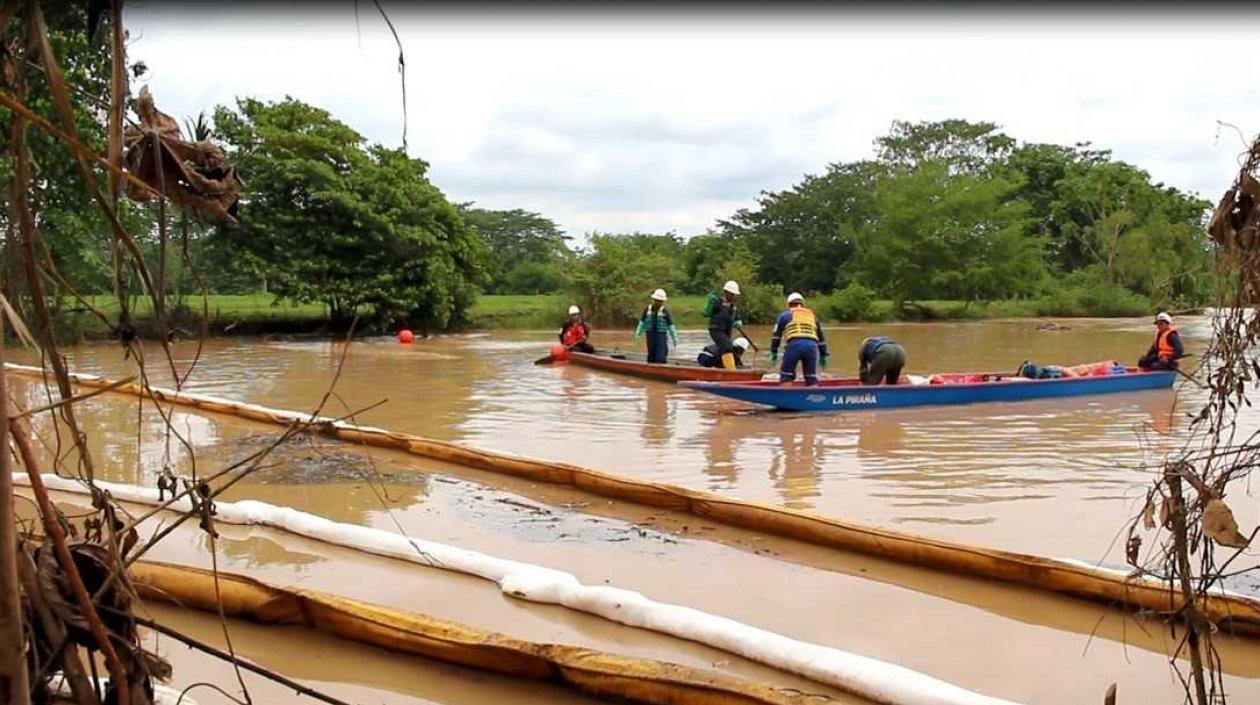 El derrame causó la muerte de 2.400 animales y afectó a 1.800 árboles.