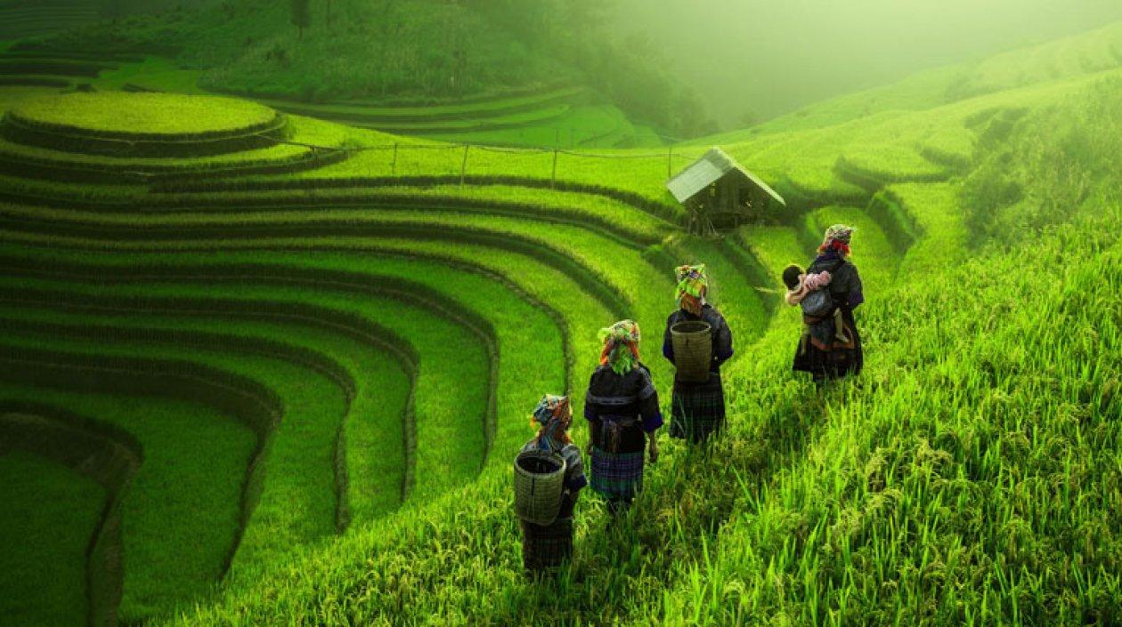 El informe de la OIT destacó que los esfuerzos por combatir el cambio climático de aquí al 2030.