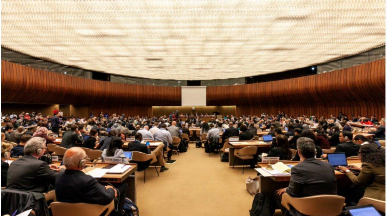 Esta decisión fue tomada en el marco de la 71 Asamblea General de la OMS que reúne esta semana en Ginebra.