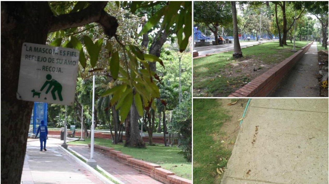 A diario propietarios de mascotas no recogen las heces cuando los sacan al parque El Golf.