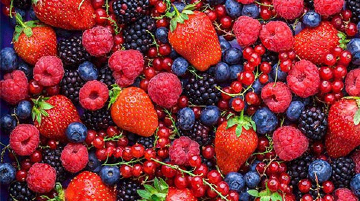 Por su alto contenido de antioxidantes estas frutas son buenas para la salud.