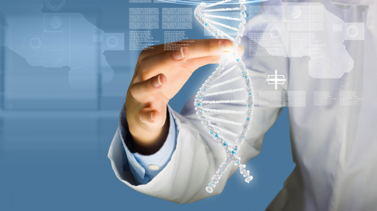 Los científicos utilizaron una nueva tecnología, denominada somascan.