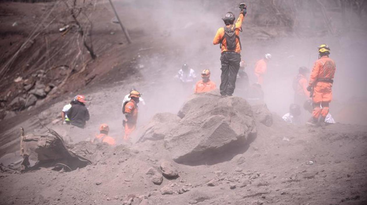 Brigadistas buscando los cuerpos. 