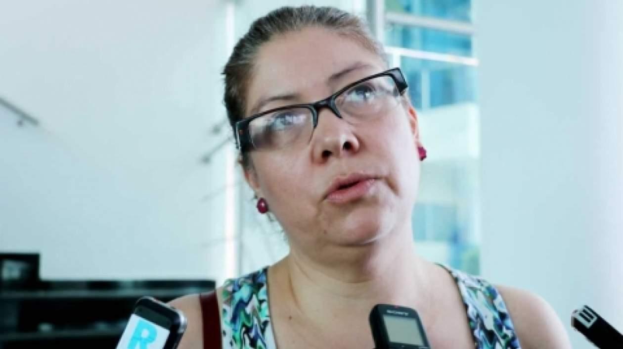 La directora de la MOE Alejandra Barrios Cabrera solicitó retirar la acreditación a la observadora alemana.