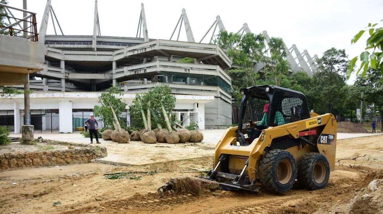 Siembra de árboles alrededor del estadio Metropolitano. 