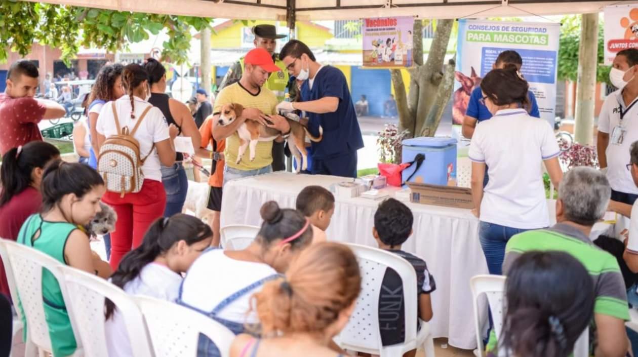 La jornada de registro de mascotas se realizó en el centro de Soledad.