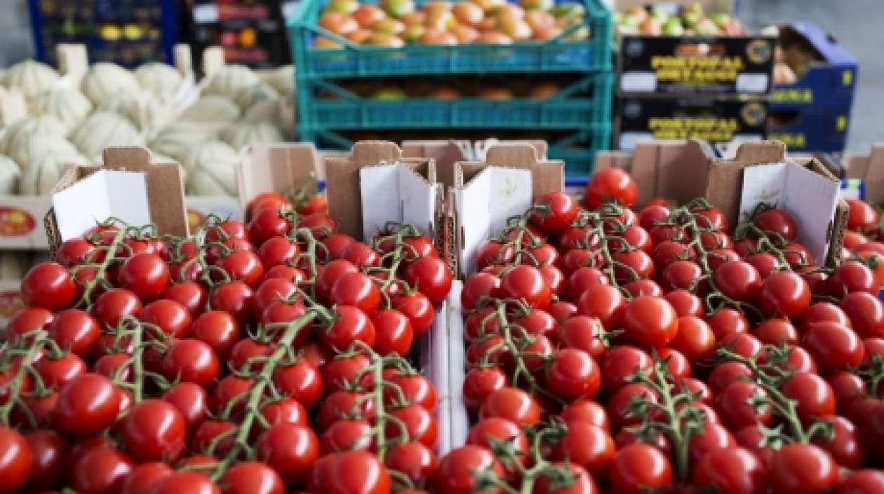 El uso agrícola de la tierra en Latinoamérica crecerá unos 11 millones de hectáreas.