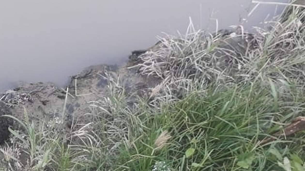 El cadáver fue hallado en el caño de la Auyama.