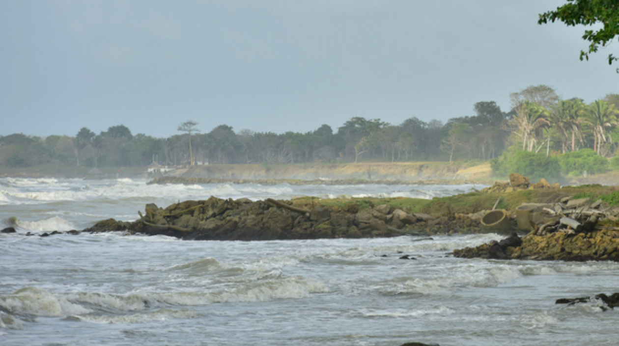 En las jornadas han limpiado 187 toneladas de basuras y residuos.
