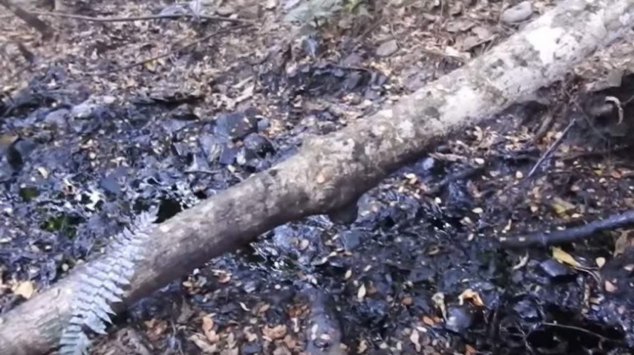 Así se encuentra la zona después del derrame de crudo. 