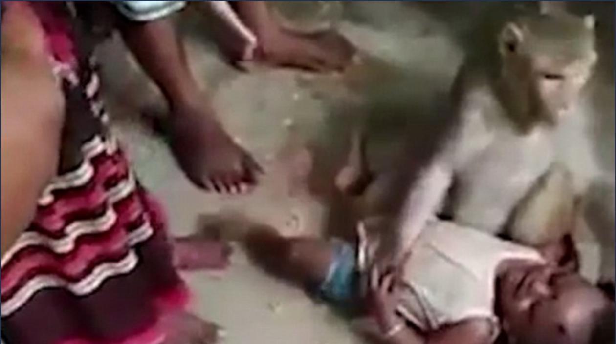 Momentos dramáticos se vivieron alrededor del hecho en una aldea de la India.