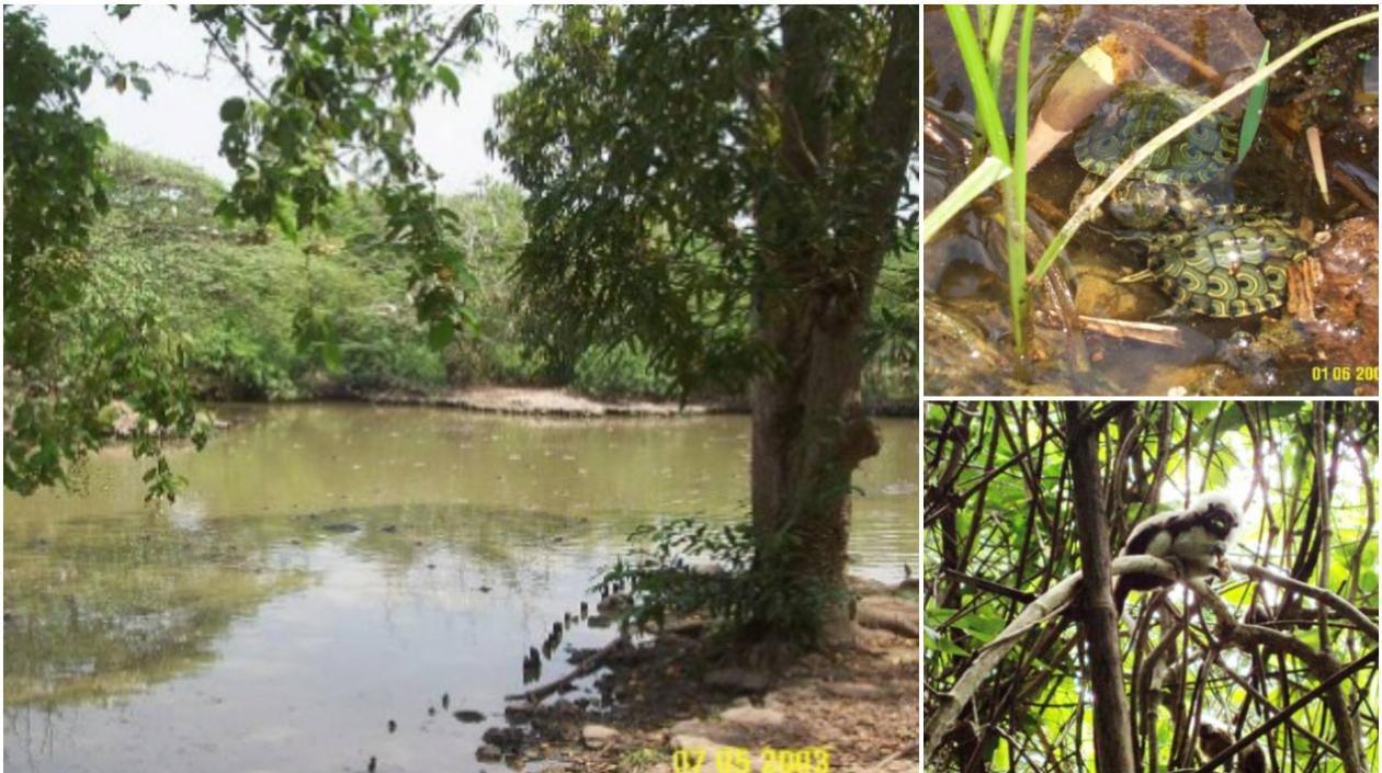 La cita de la Feria en Santo Tomás es en la Institución Técnica Diversificada La Oriental, a partir de las 9:00 am.