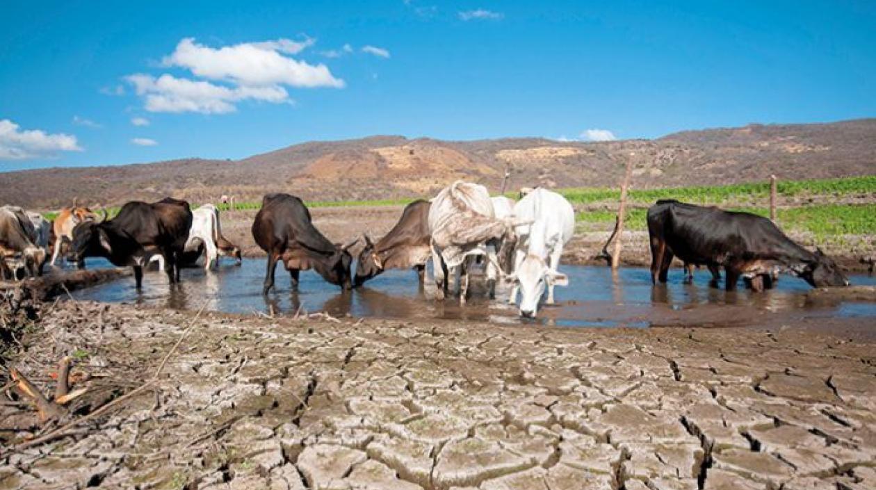 Los últimos pronósticos de modelos estadísticos y dinámicos favorecen colectivamente el desarrollo débil de El Niño.