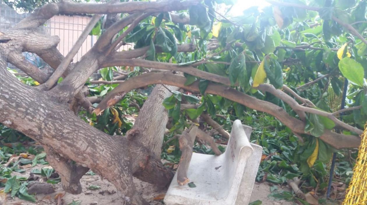 Lugar de los hechos.