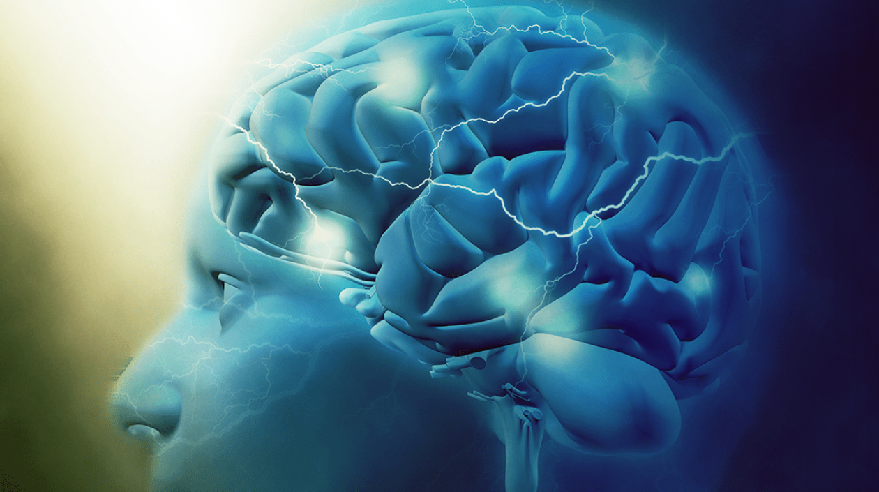 Los hallazgos, que obtuvieron mediante una serie de experimentos con más de 1.500 individuos.