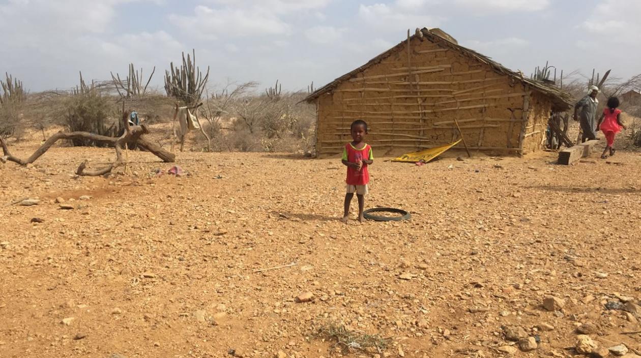 La desnutrición sigue cobrando vida de los más pequeños en Colombia.