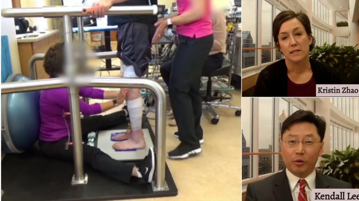 El trabajo de los especialistas Kristin Zhao y Kendall Lee se desarrolló durante cuarenta y tres semanas.