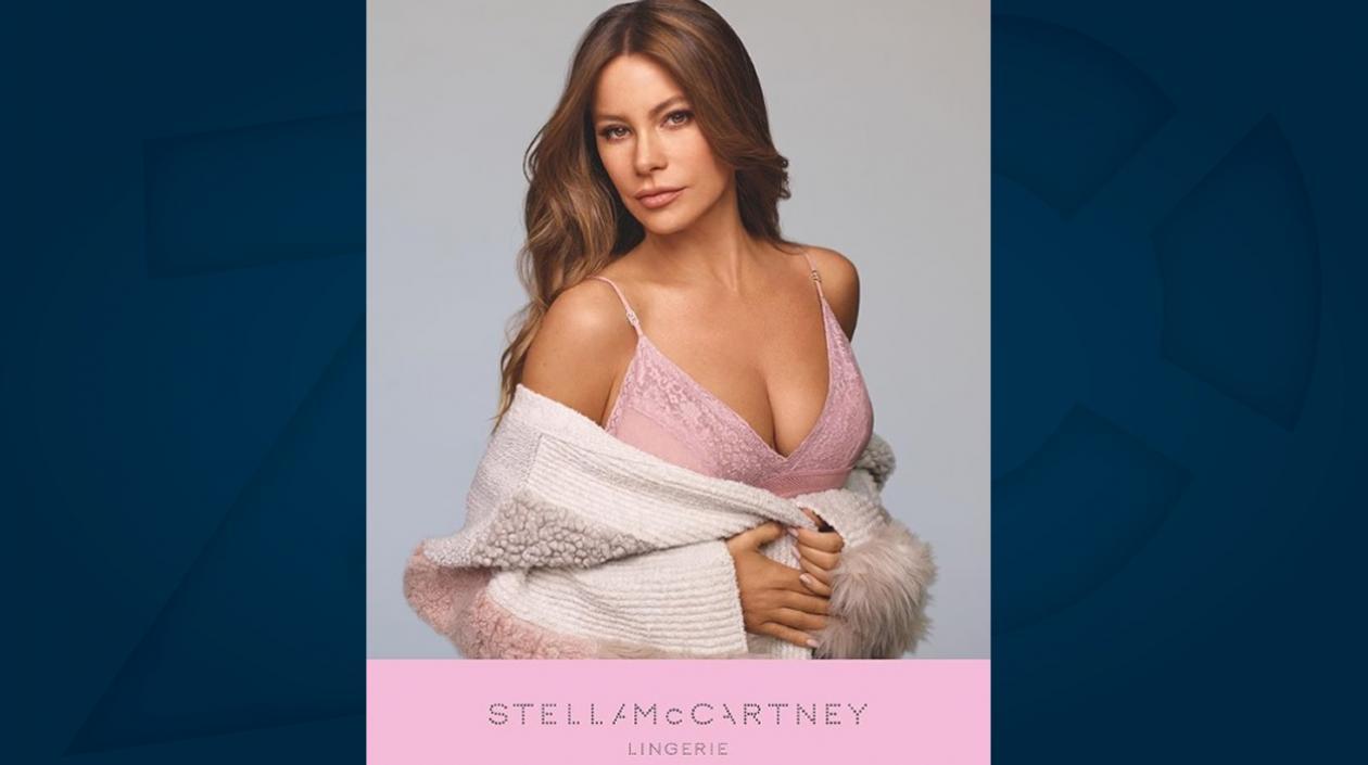 La actriz y empresaria Sofía Vergara.