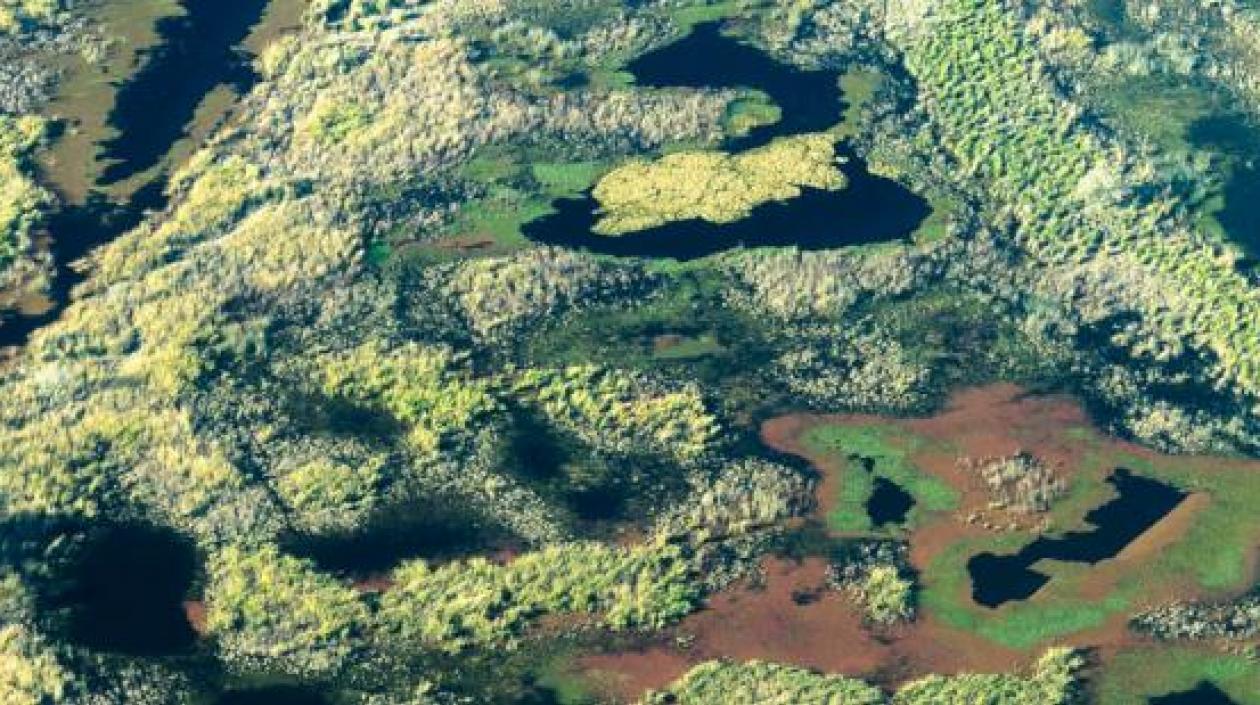 Más de mil millones de personas dependen de los humedales para su subsistencia.