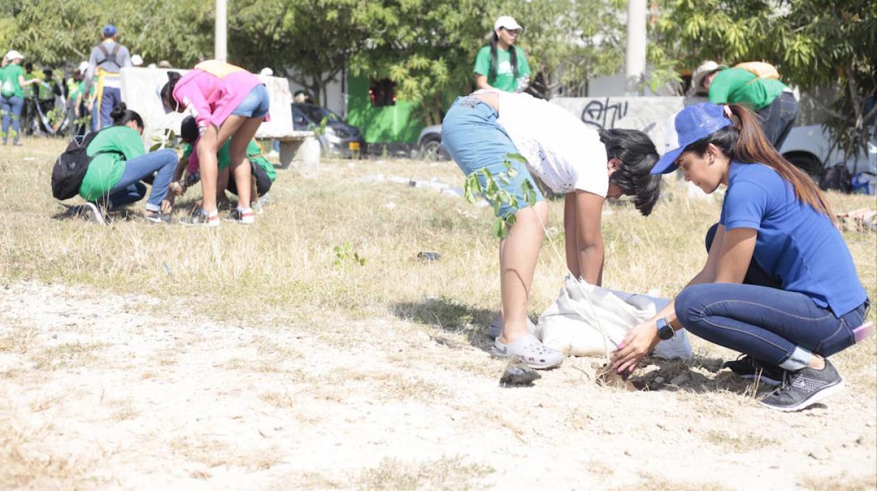 Actividades de siembra por parte del Edumas.