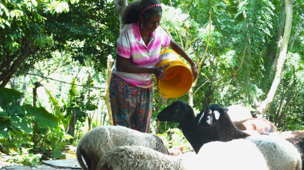La líder social Maritza Quiroz Leyva.