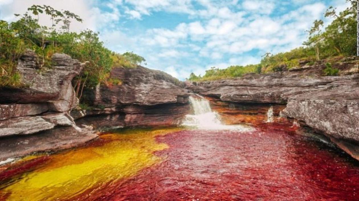 Caño cristales, en la sierra de la Macarena.