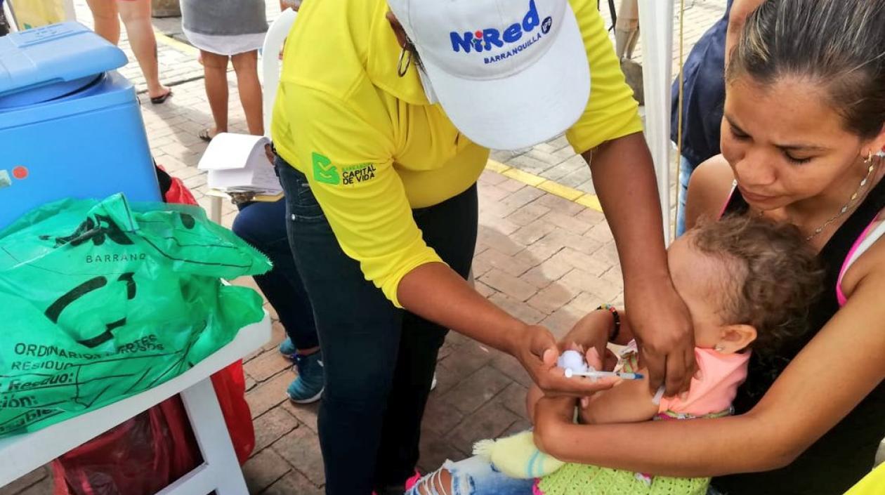 La jornada se llevó a cabo este sábado.