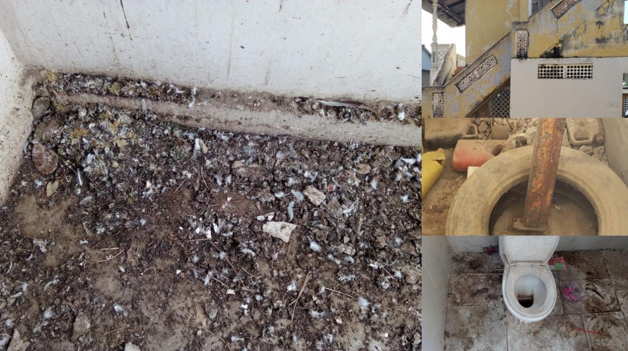 Las instalaciones en Luruaco.