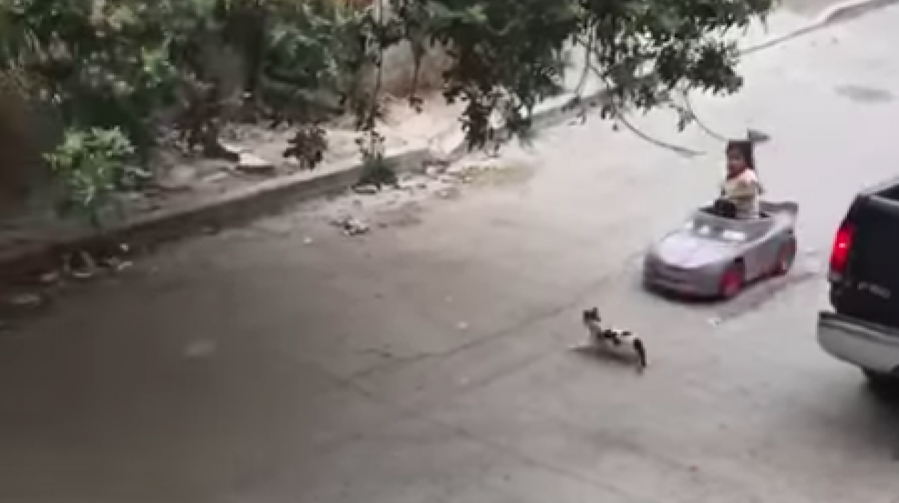 Niña segundos antes de arrollar al gato.