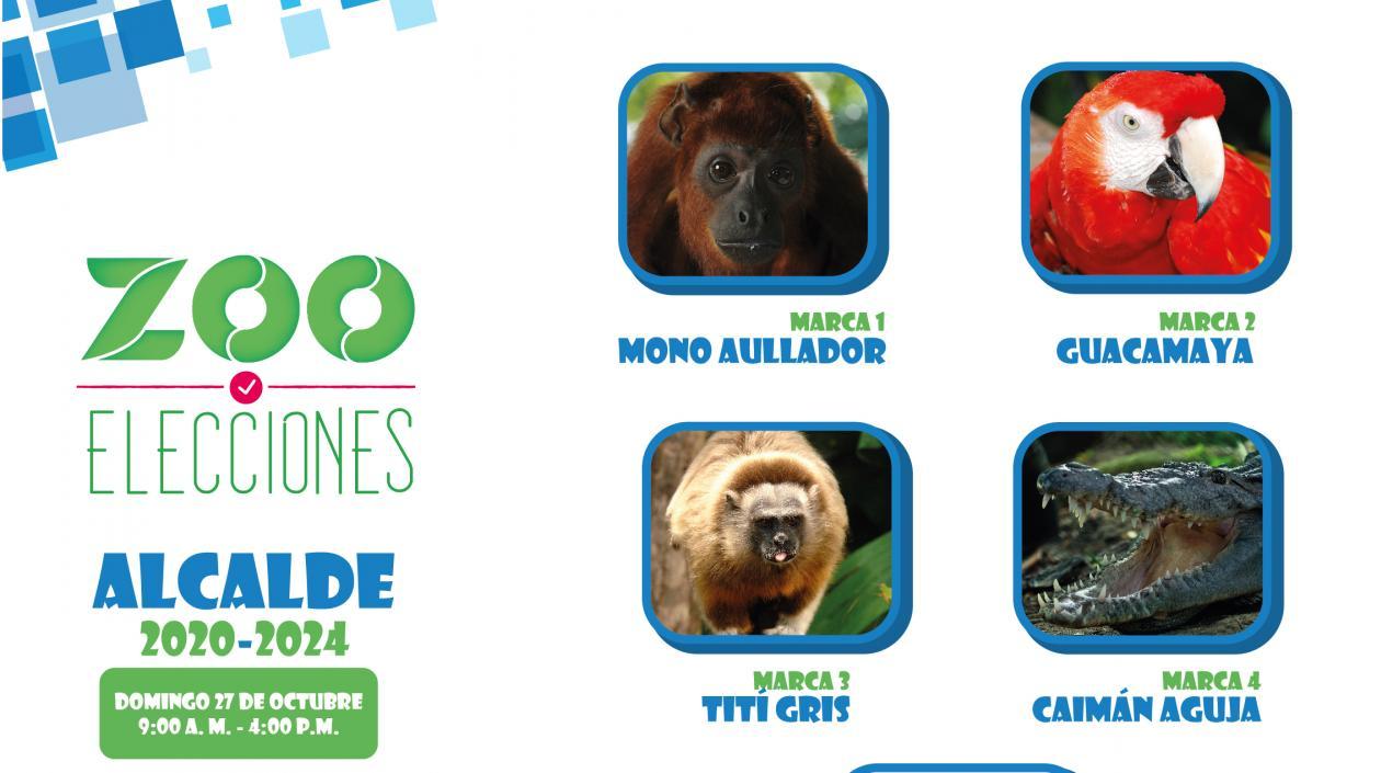 Elecciones Alcaldía del Zoológico de Barranquilla.