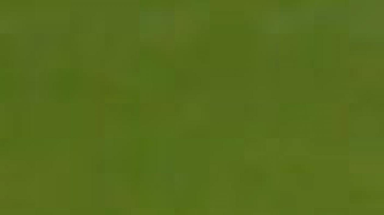 Jugadores del Real Madrid, en un entrenamiento. 