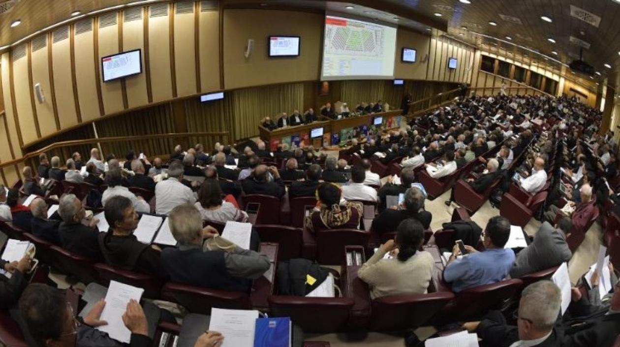 Sínodo de los obispos sobre la Amazonía.