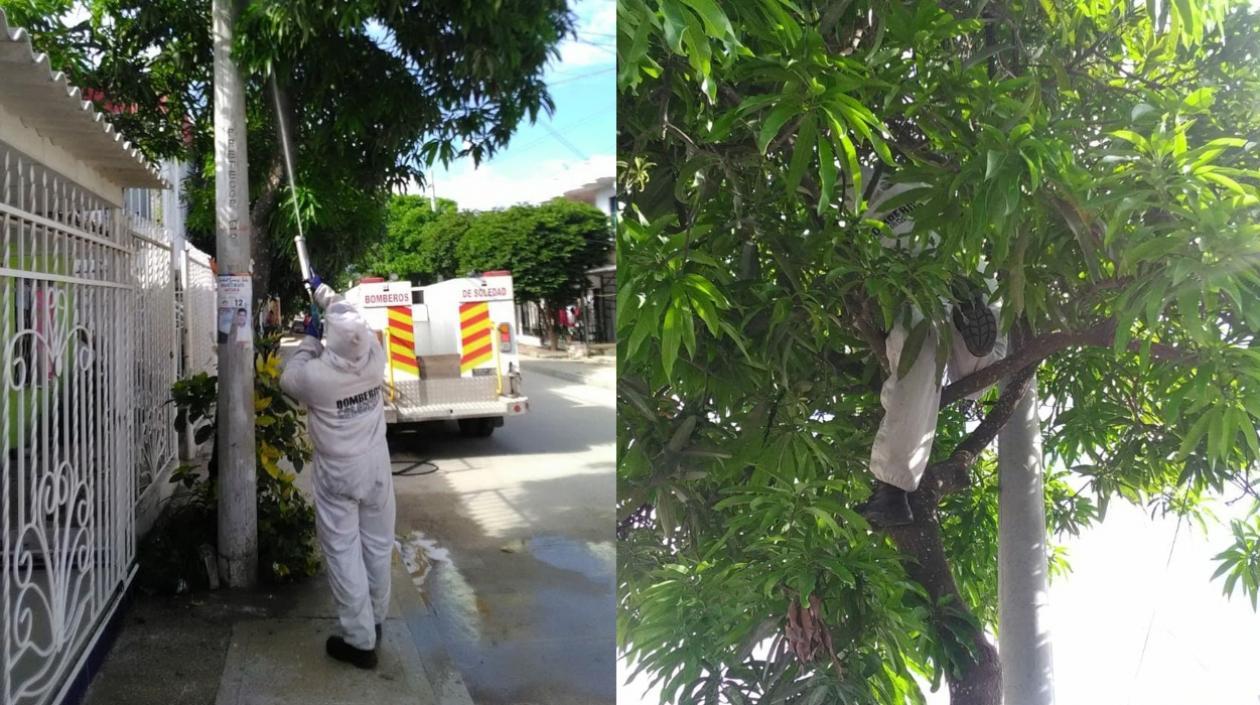 Bomberos controlaron la situación.