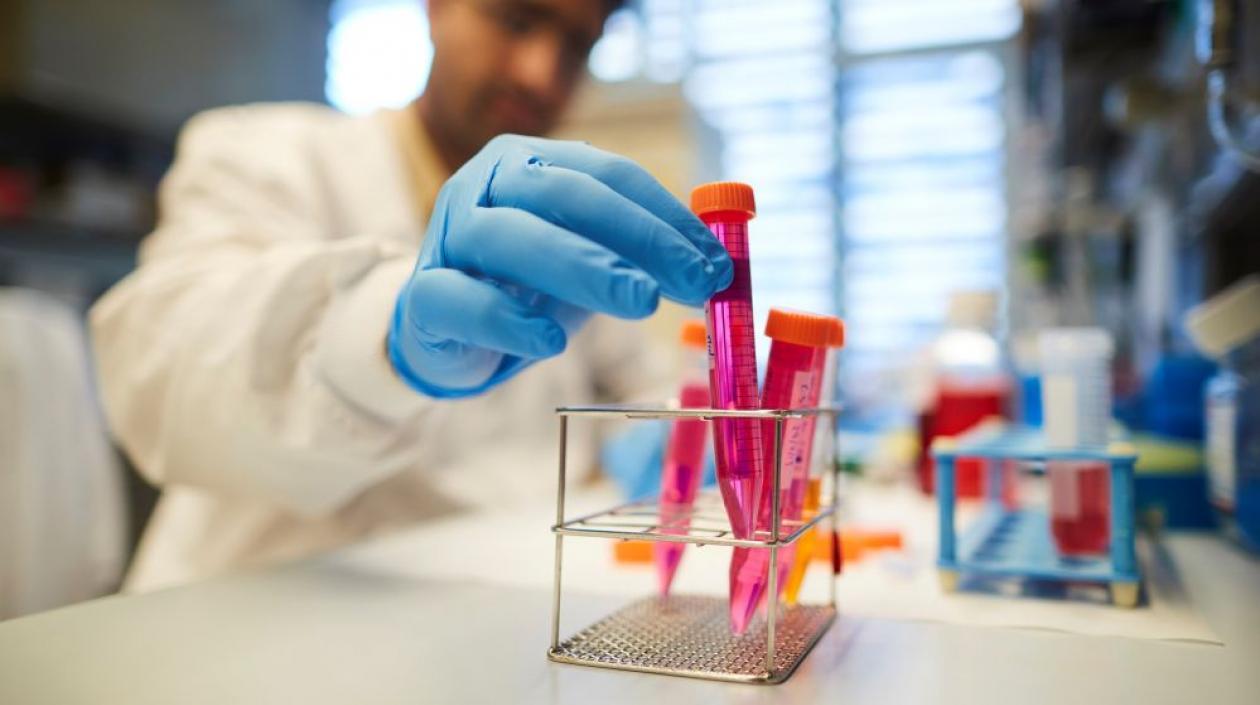 Unos 20.000 niños sanos de entre 4 y 16 años de América Latina y Asia participaron en un ensayo de fase III.