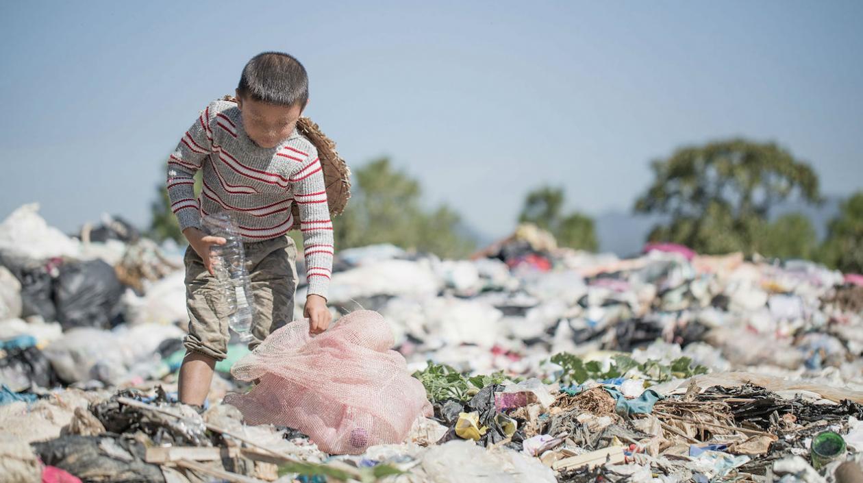 Los países con un menor porcentaje de desnutridos, por debajo del 2,5 % de la población, son Brasil, Cuba y Uruguay. 