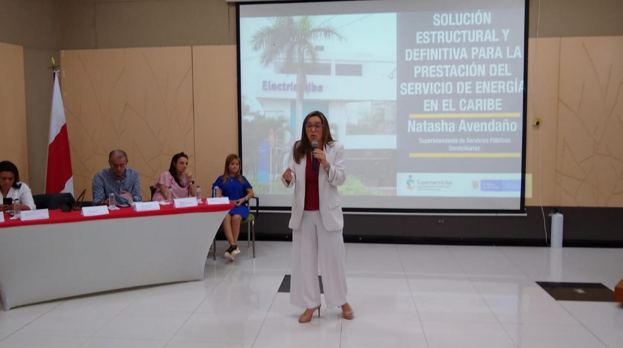 La Ministra de Minas y Energía, María Fernanda Suárez