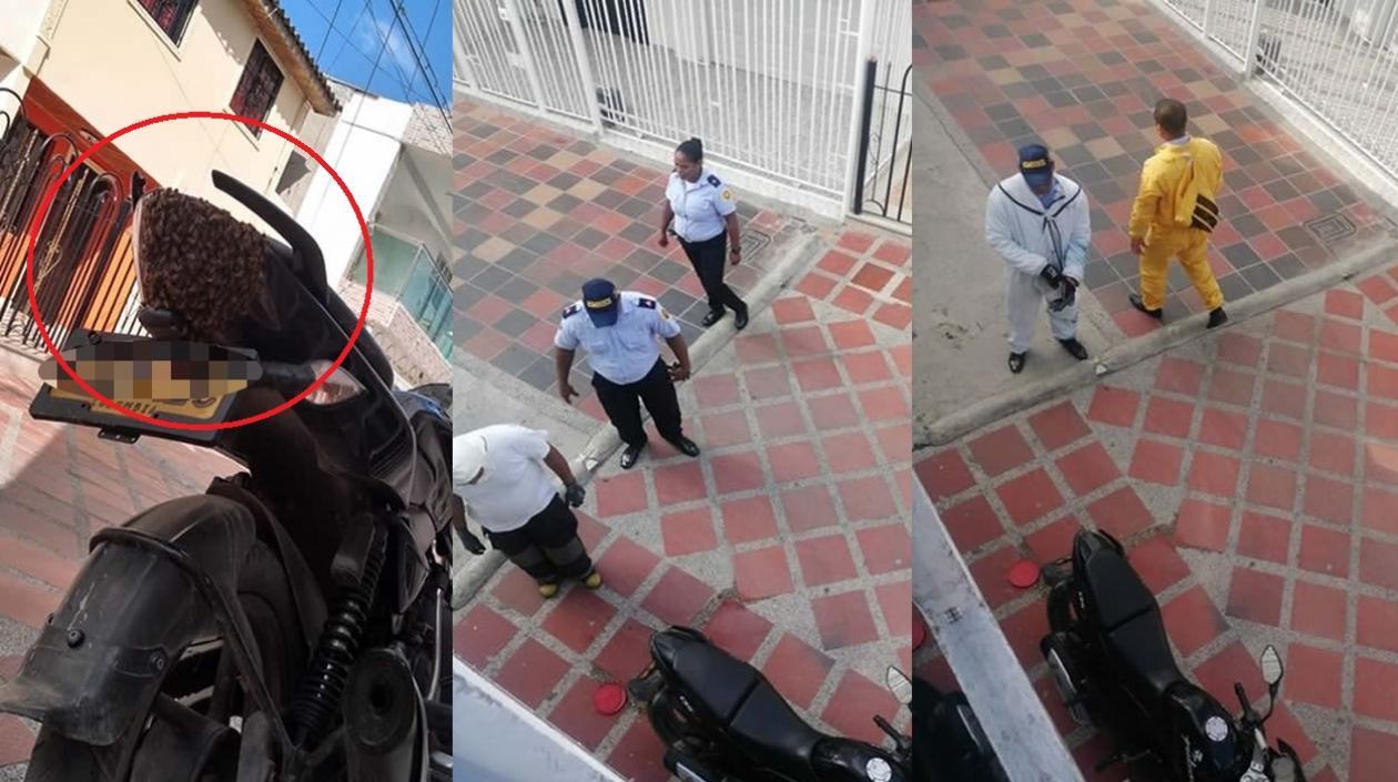 Los bomberos llegaron para retirar las abejas africanizadas.