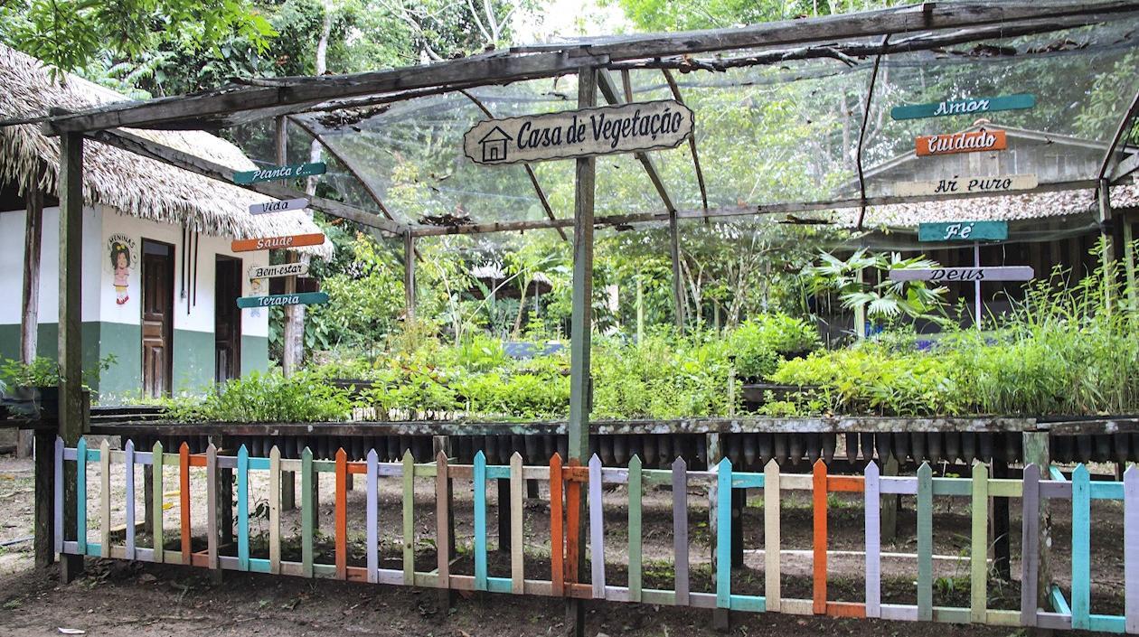 Escola da floresta, escuela de Brasil.