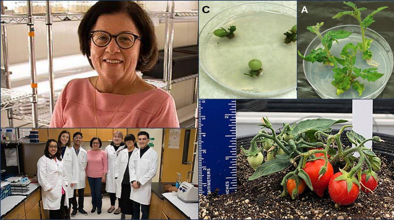 La científica colombiana Martha Lucía Orozco.