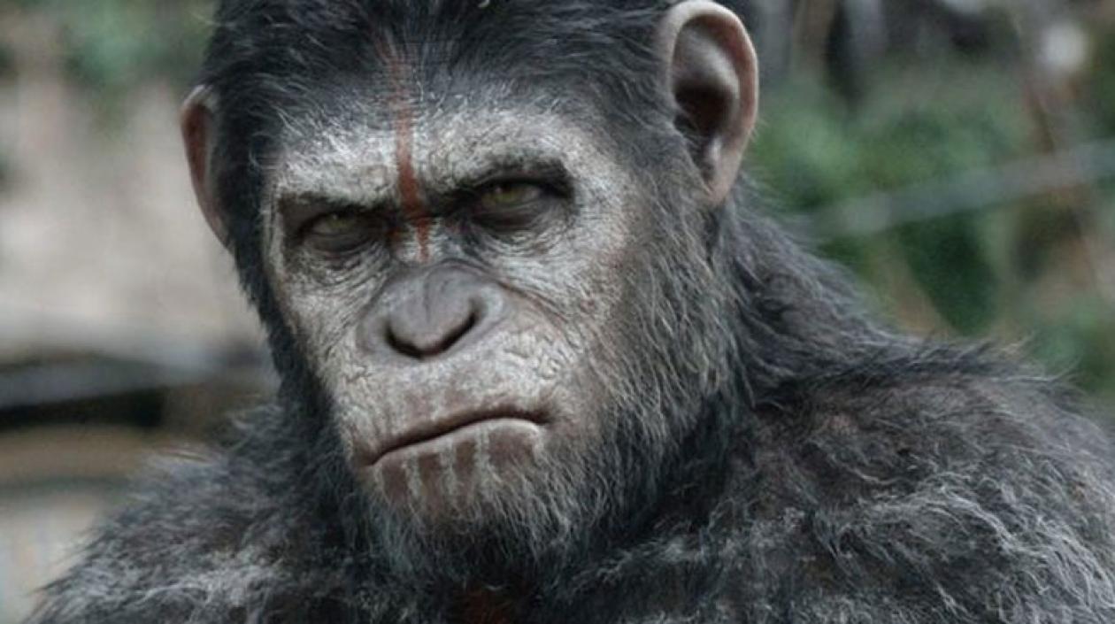 César, protagonista de la reciente versión de 'El planeta de los simios'.