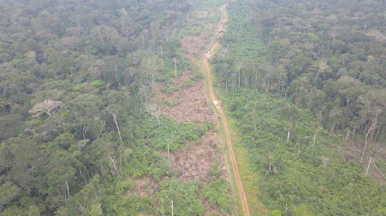 Desforestaron sin permiso para construir una vía.
