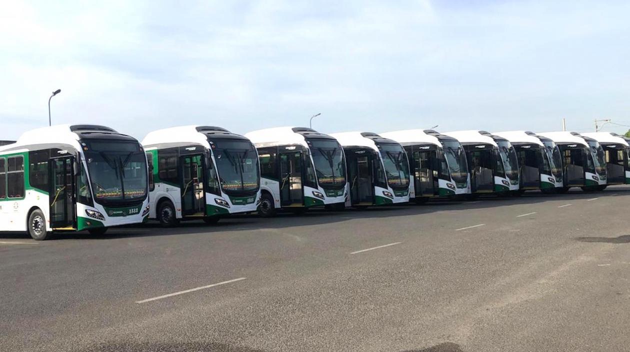 La nueva flota de buses.
