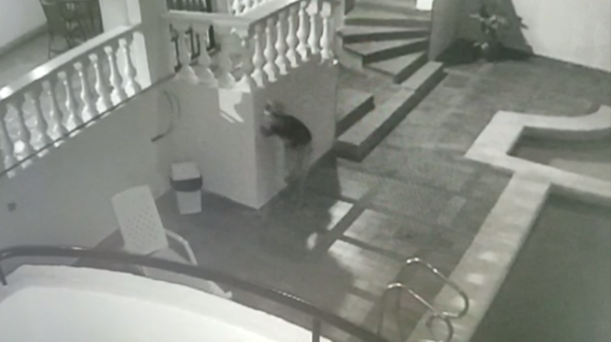 La cámara captó al ladrón.