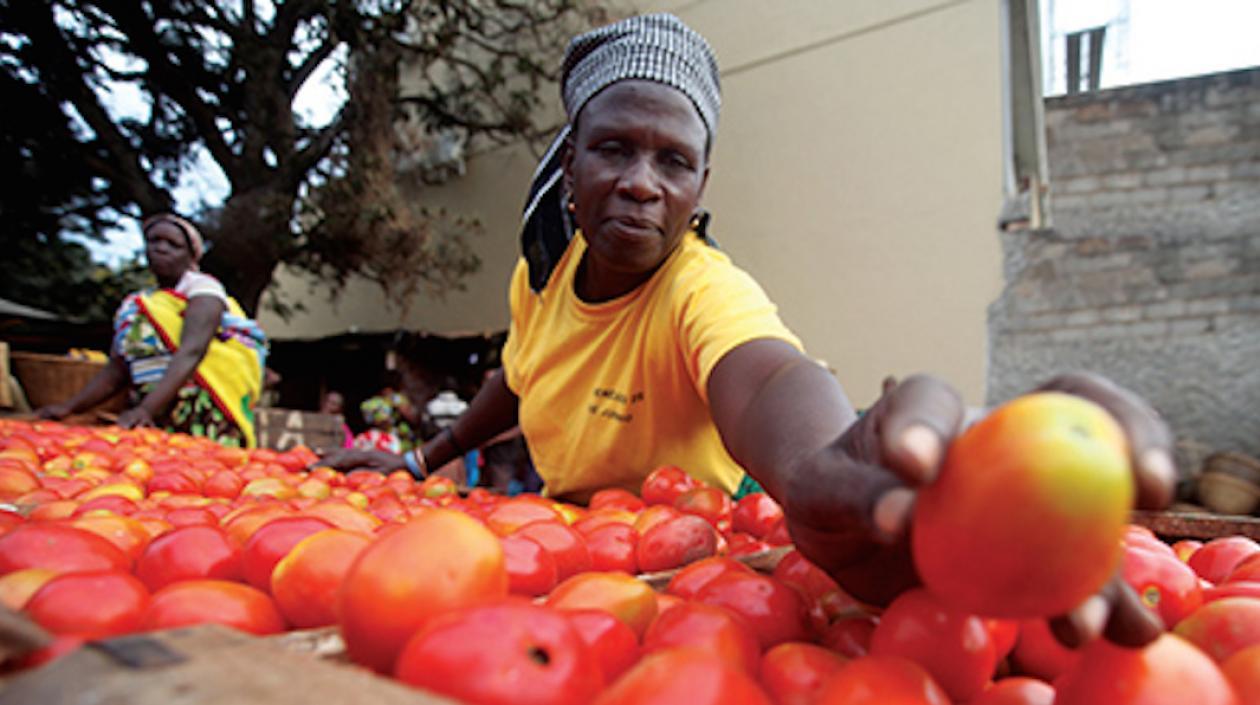 El cambio climático ha alterado los ciclos estacionales y los de cultivo en todo el mundo.