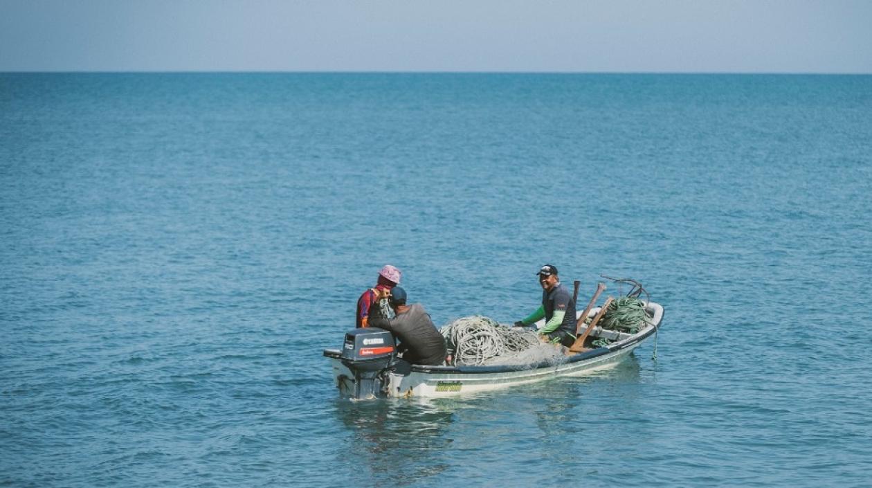 Resolución de MinAgricultura aclara medidas de conservación definidas para recurso de tiburón.