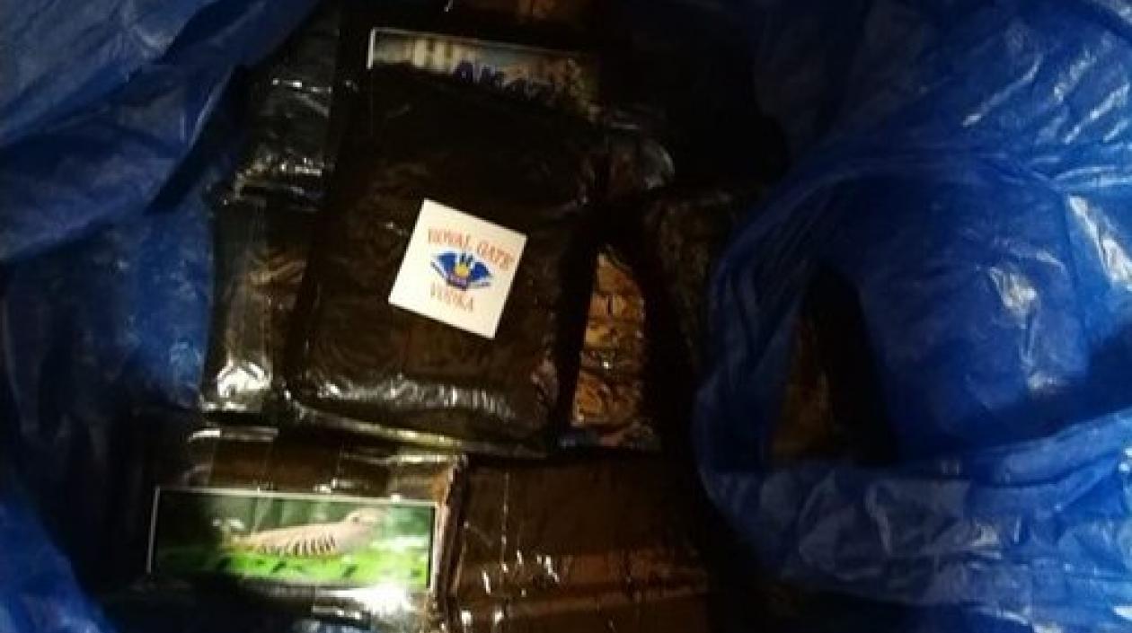 Material incautado en el operativo de las autoridades españolas.